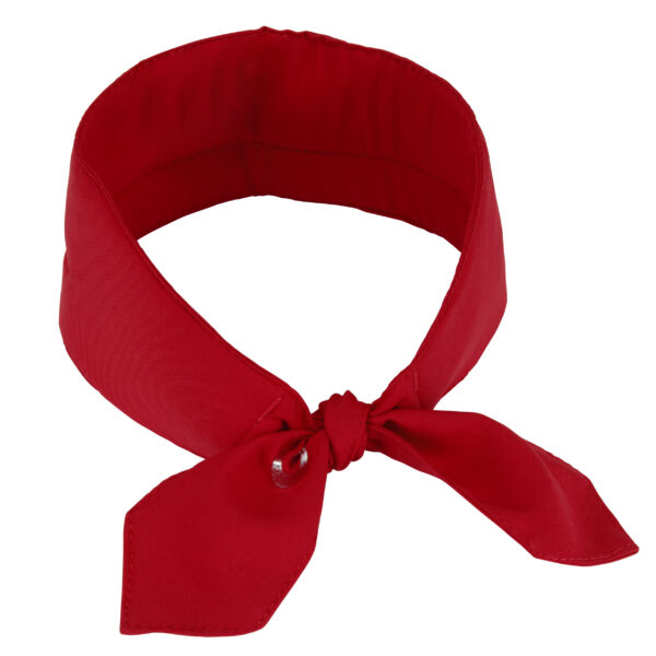 View from behind cooling scarf with logo from E.COOLINE in color red
