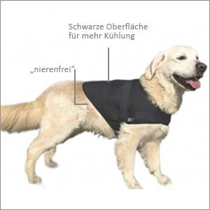 Golder REtriever mit Kühlweste