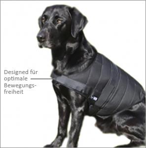 Labrador sitzend mit E.COOLINE Kühlweste